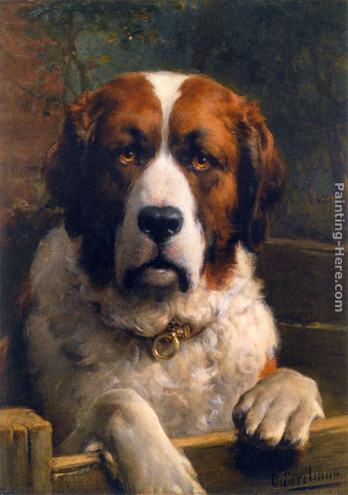 A St. Bernard Dog painting - Otto Eerelman A St. Bernard Dog art painting